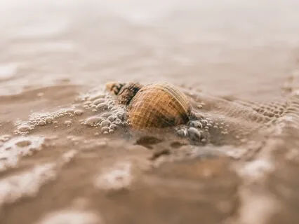 Practicing Tolerance