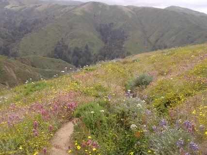 Practicing Trust In Uncertain Times