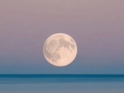 Practicing Wholeness (Feel Be See Say Do)