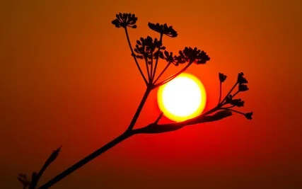 Practicing With Heat By Adam Lobel 