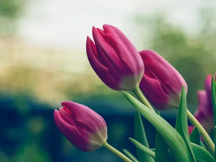 Practicing With Spring Energy