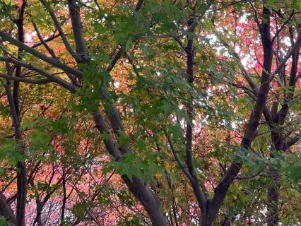 Practising Positivity: Even When You Don’t Feel Positive.