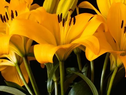 Pragmatic Approach To Mindfulness - Self Awareness