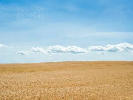 Prairie Inspired Meditation