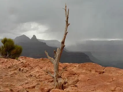 Prairie Wind - Natural Brown Noise - Dormant Sound