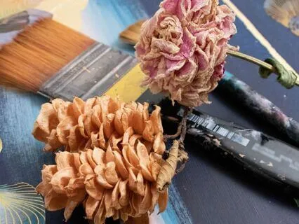 Praise As A Daily Practice