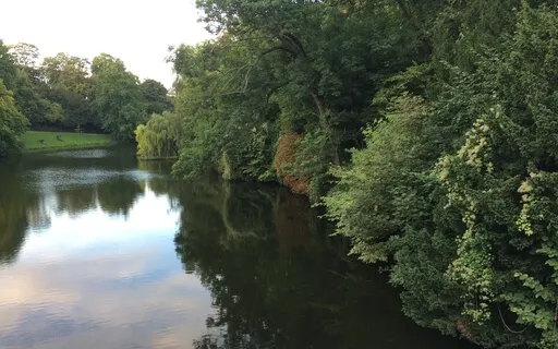 Praise To All Creation