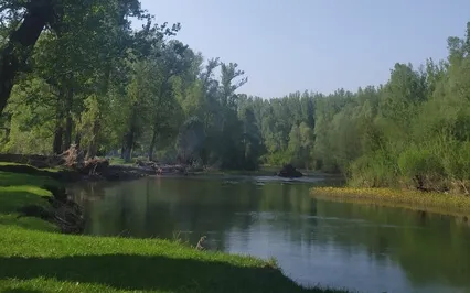 Практика Cамопомощи при Тревожности и Панических Атаках