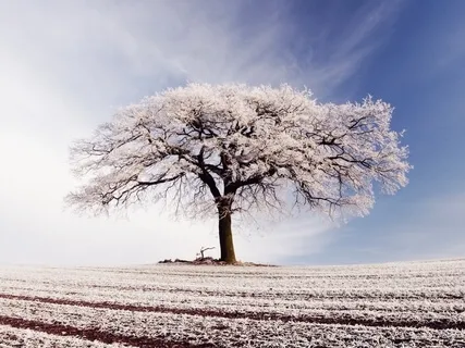 Практика Энергетического Заземления