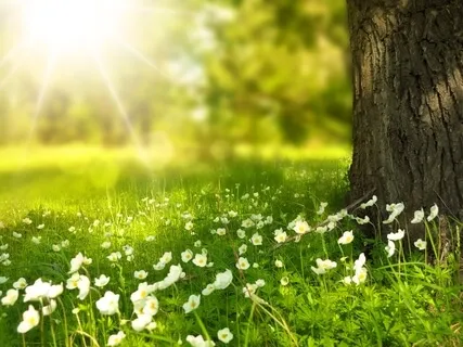 Практика - Фокусирование