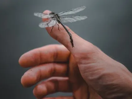 Практика Избавления от Негативных Энергий