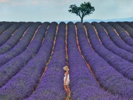 Практика Изобилия, Любви и Трансформации