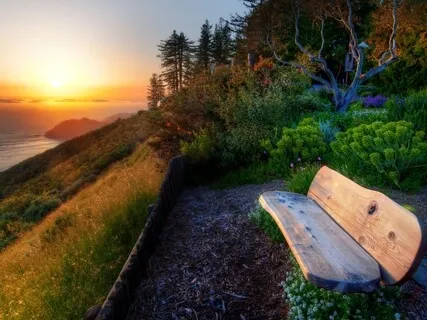 Практика Моделирования Реальности 