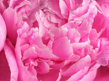 Практика Наблюдения Звуков (Ноутинг)