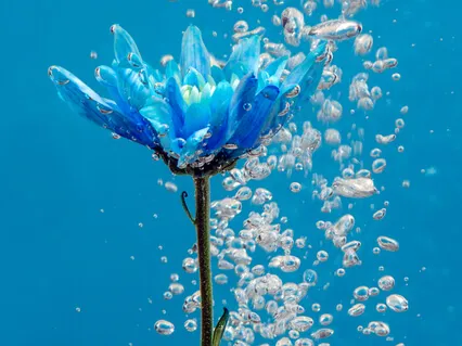 Практика радости: основополагающая благость