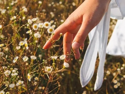 Практика Сканирования Тела