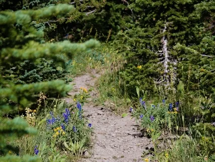 Практика Заземления - Спокойствие и Уверенность