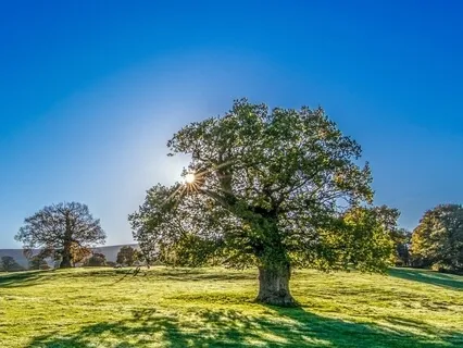 Практика Заземления