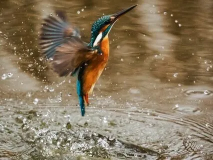 Prana Breathing Meditation For Release And Expansion