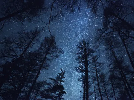 Prana Yoga Nidra For Deep Sleep