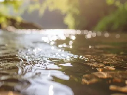 Pranayama: Breath Like A River, Flowing (Jan 21, 26)