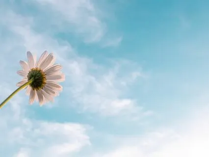 Pranayama - Breath To Manage The Mind