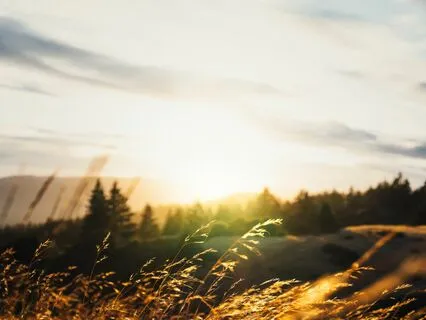 Pranayama For Anxiety