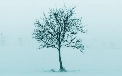 Pranayama For Balance And Grounding (Nadi Shodhana)