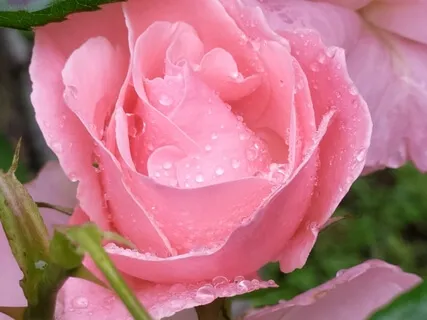 Pranayama Meditation For When You Don't Know What to Do