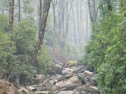 Pranayama: Sama Vritti | Box Breathing