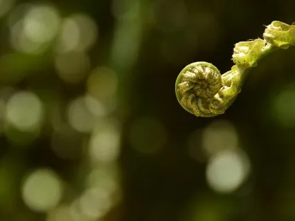 Pranayama - Viloma - Restore A Sense Of Calm