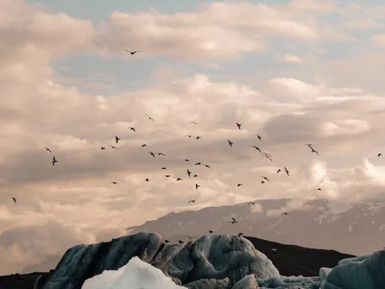 Pranayama: Yoga Sutras Of Patanjali Lecture + Guided Meditation