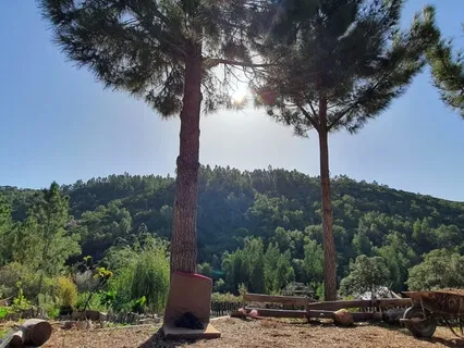 Pranayama - Nadi Shodhana 