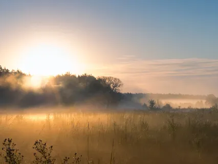 Prática Matinal Com Música