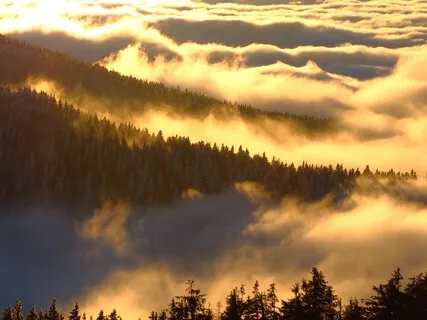Prawo przyciągania - 3 kroki prawidłowej manifestacji oraz przykłady negatywnych wibracji