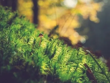 Prawo przyciągania czyli jak zmienić rzeczywistość poprzez zmianę myślenia