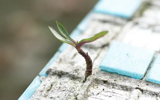 Pray Always And With Hope