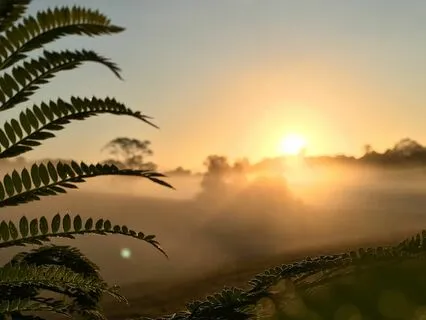 Pray Before You Start Your Day