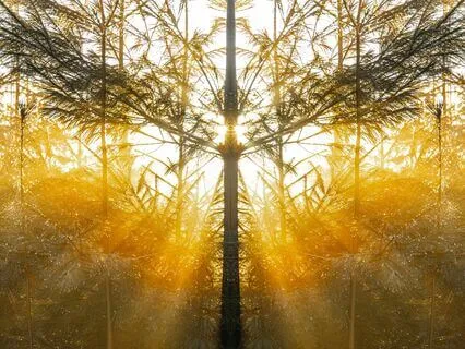 Good Morning: Pray Before You Start Your Day