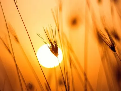 Prayer Against Every Evil