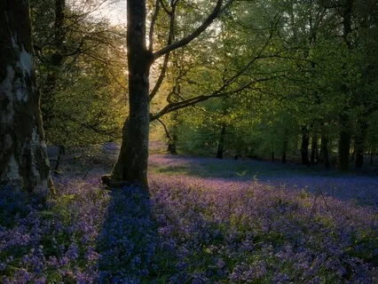 Prayer and Meditation - Weekly Energy Boost