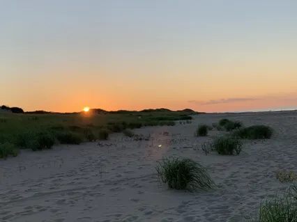 Prayer At Dawn Provincetown Dunes