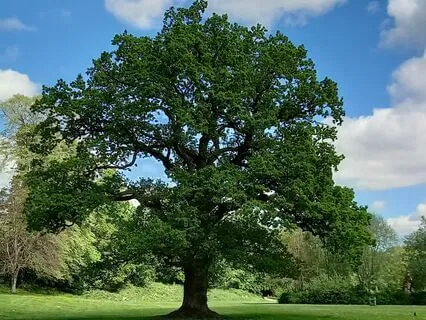 Prayer 'Choosing Peace Of Mind'