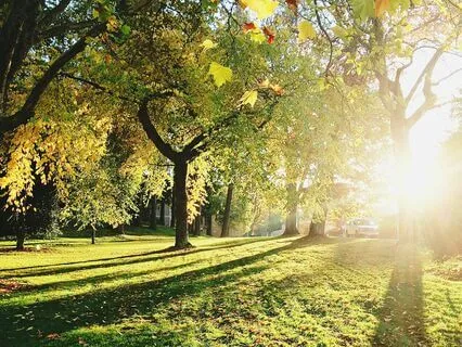 Prayer For A Beautiful Day