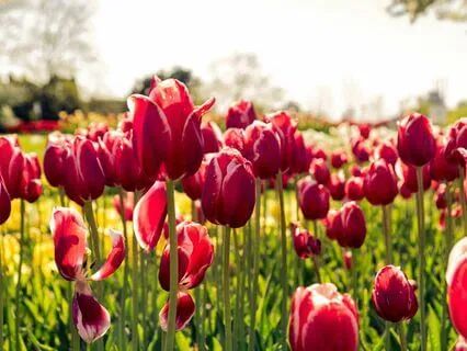 Prayer For Attracting Your Soul Mate