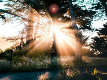 Prayer For Calling In Miracles