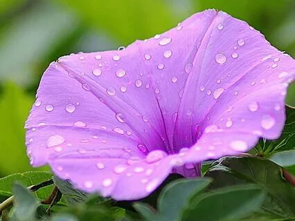 Prayer For Children Of Parents Who Suffer From Dementia