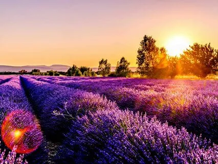 Prayer For Connection In Moments Of Disconnection