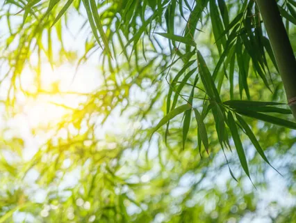 Prayer For Divine Breakthrough