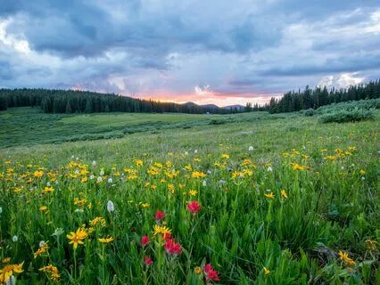 Prayer For Embracing Your True Self